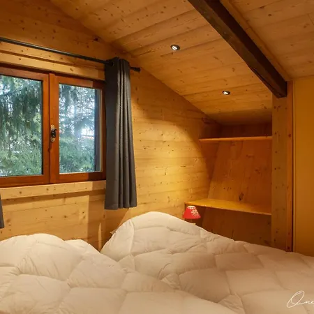 Superbe 6 Ch. Au Pied Du Domaine Des 2 Alpes Chalet