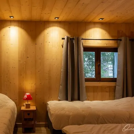 Superbe 6 Ch. Au Pied Du Domaine Des 2 Alpes *