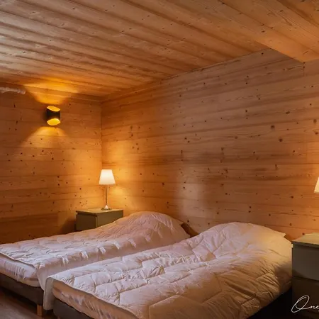 Superbe 6 Ch. Au Pied Du Domaine Des 2 Alpes Chalet