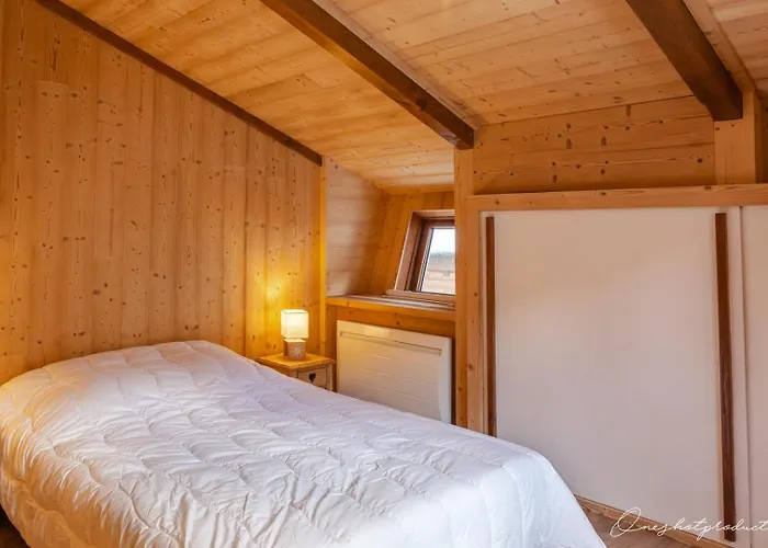 Superbe 6 Ch. Au Pied Du Domaine Des 2 Alpes Les Deux Alpes