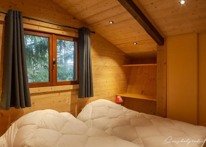 Superbe 6 Ch. Au Pied Du Domaine Des 2 Alpes Dağ evi