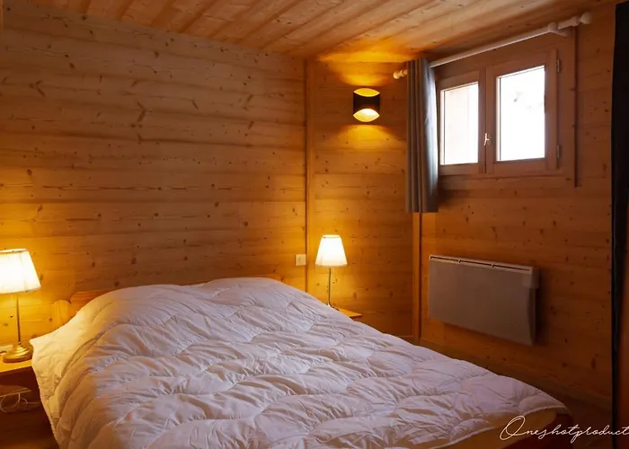 Superbe 6 Ch. Au Pied Du Domaine Des 2 Alpes Dağ evi Les Deux Alpes