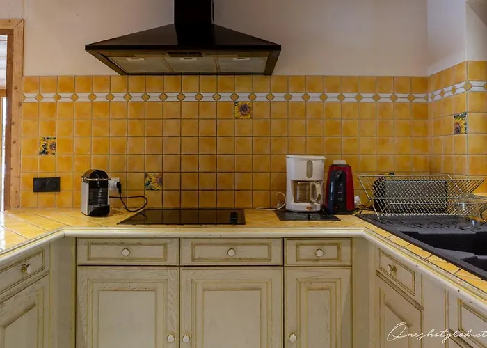 Superbe 6 Ch. Au Pied Du Domaine Des 2 Alpes * Les Deux Alpes